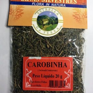 carobinha para cha jacaranda semiserrata 9527 e1494702130219