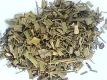 cavalinha para cha 8406