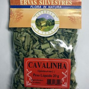 cavalinha para cha equisetum arvense 3608