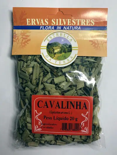 cavalinha para cha equisetum arvense 3608