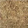 cha de quebra pedra para cha phyllanthus niruri 6605 e1494699417192