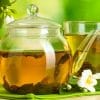 Chá Verde Camellia sinensis