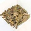 embauba para cha cecropia glaziovii 5252