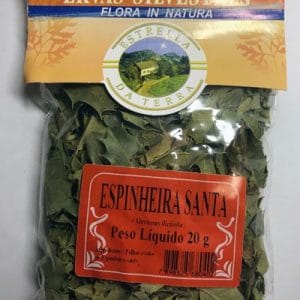 espinheira santa para cha maytenus ilicifolia 1703