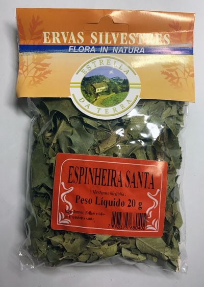 Espinheira Santa Para Chá Maytenus ilicifolia
