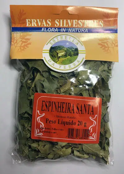 espinheira santa para cha maytenus ilicifolia 1703