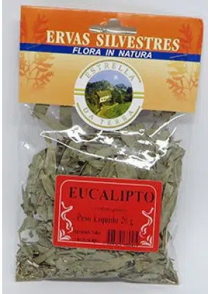 eucalipto para cha eucalyptus globulus 2 e1494697698366
