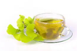 ginkgo biloba para cha 2