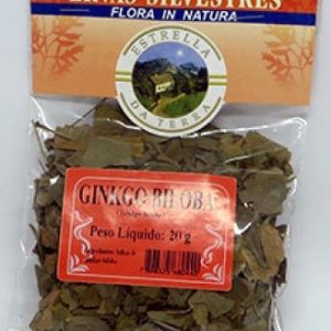 ginkgo biloba para cha ginkgo biloba 3439