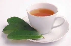 graviola para cha 2