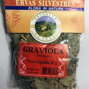 graviola para cha annona muricata 4154