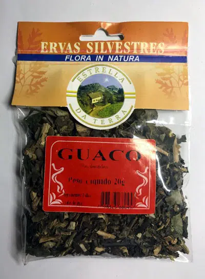 guaco para cha mikania glomerata 9466