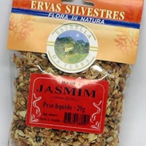 jasmim para cha jasminum 2 e1494697523444