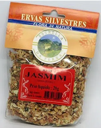 jasmim para cha jasminum 2 e1494697523444