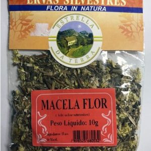 macela flor para cha achyrocline satureioides 3562 e1494700930770