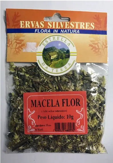 macela flor para cha achyrocline satureioides 3562 e1494700930770