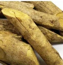 marapuama para cha ptychopetalum olacoides 2 2 e1494700748975