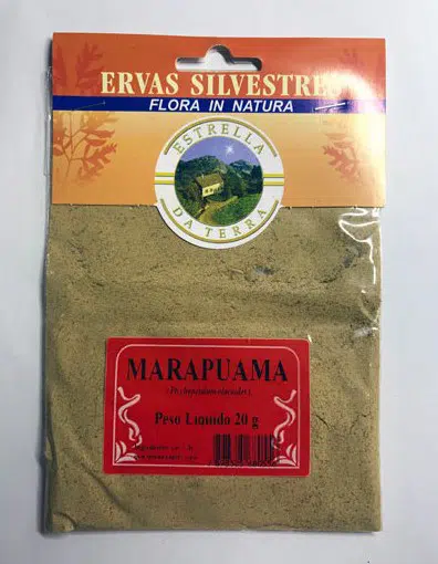 marapuama para cha ptychopetalum olacoides 2 e1494700769803