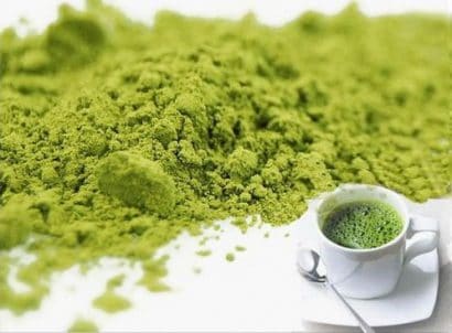 matcha para consumo camellia sinensis 0093 e1494700658768