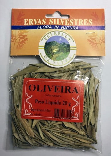 oliveira para cha olea europaea 2 e1494700355252