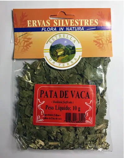 pata de vaca para cha bauhinia forficata 2 e1494700192132