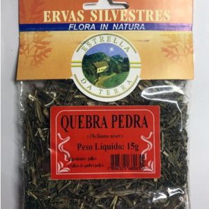 quebra pedra para cha phyllanthus niruri 1708 e1494699378375