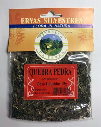 quebra pedra para cha phyllanthus niruri 1708 e1494699378375
