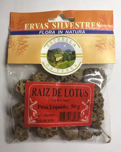 raiz de lotus para cha nymphaea lotus 1716 e1494699273794