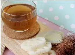 raiz de lotus para cha nymphaea lotus 6024 e1494699210324