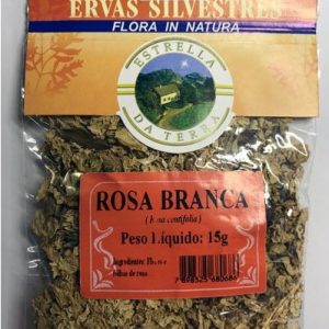 rosa branca para cha rosa centifolia 2 e1494698984449