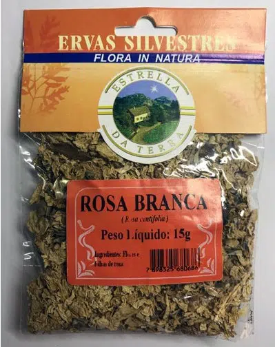 rosa branca para cha rosa centifolia 2 e1494698984449