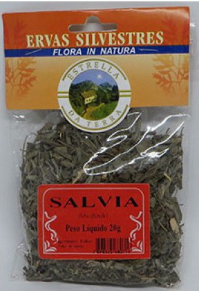 Sálvia Para Consumo Salvia officinalis