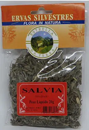 salvia para consumo salvia officinalis 2 e1494698547149