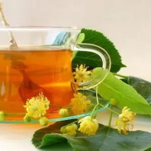 sene para cha cassia angustifolia 2 2 e1494698641879