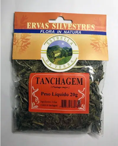 tanchagem para cha plantago major 2 e1494698190482