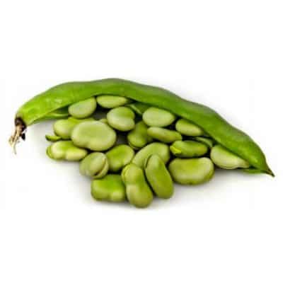 fava sevilha3