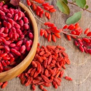 goji berry sementes8