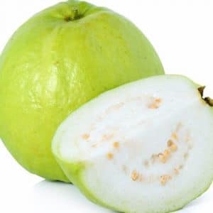 goiaba branca psidium guajava2