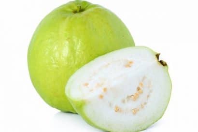 goiaba branca psidium guajava2