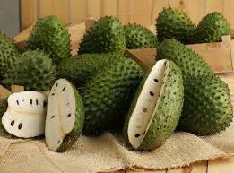 graviola3