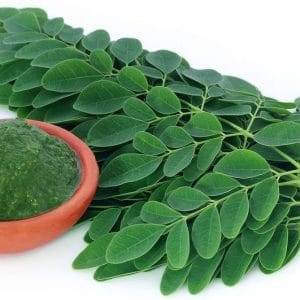 moringa oleifera3