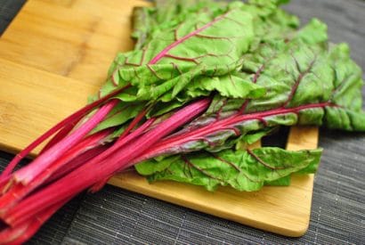 Sementes de Acelga Red Vermelha: 50 Sementes - Só Flor Sementes