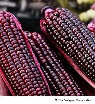 milho roxo