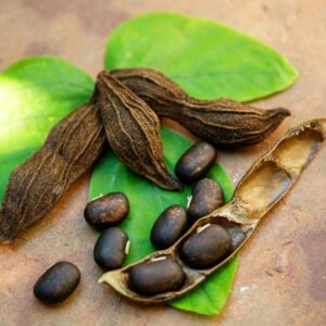 Sementes de mucuna preta