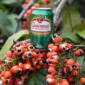 guarana