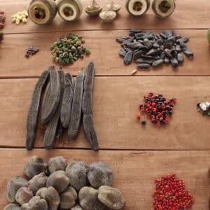 arvores nativas brinde