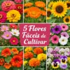 flores facil plantar
