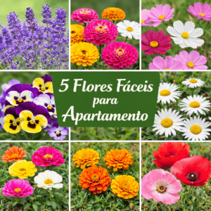 kit apartamento