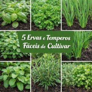 temperos facil cultivo