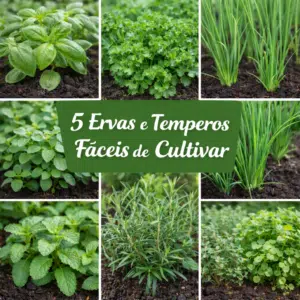 temperos facil cultivo